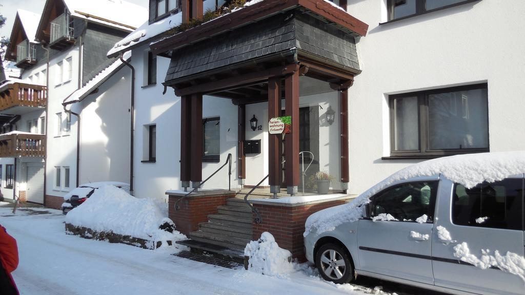 Ferienwohnung Ortsmitte-Willingen Willingen  Extérieur photo